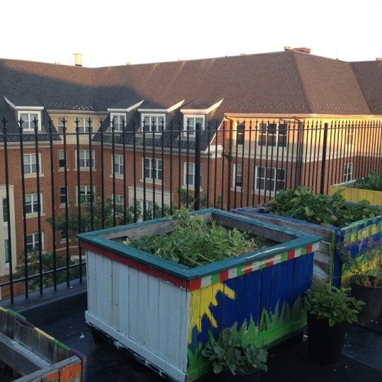 South Campus Dining Hall Green Roof